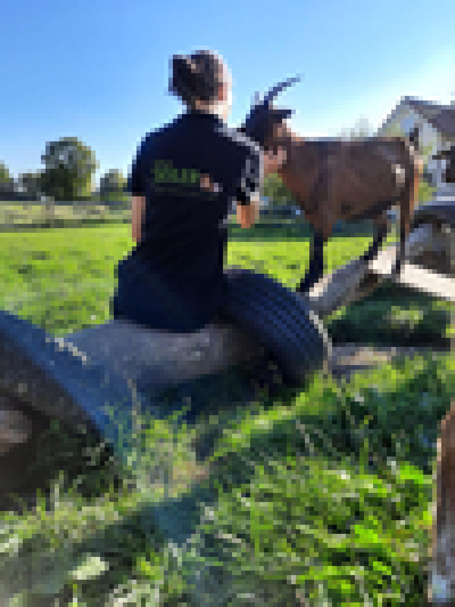 Farm Family mit Ziege auf der Weide